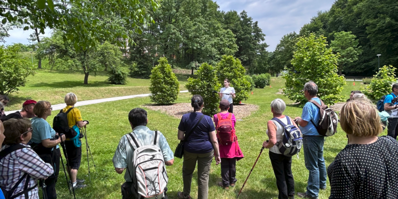 zdravstveni dom Novo mesto